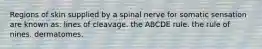 Regions of skin supplied by a spinal nerve for somatic sensation are known as: lines of cleavage. the ABCDE rule. the rule of nines. dermatomes.