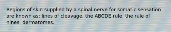 Regions of skin supplied by a spinal nerve for somatic sensation are known as: lines of cleavage. the ABCDE rule. the rule of nines. dermatomes.