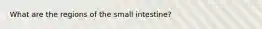 What are the regions of the small intestine?