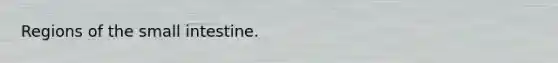 Regions of <a href='https://www.questionai.com/knowledge/kt623fh5xn-the-small-intestine' class='anchor-knowledge'>the small intestine</a>.