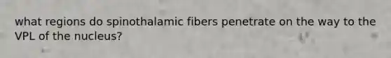 what regions do spinothalamic fibers penetrate on the way to the VPL of the nucleus?