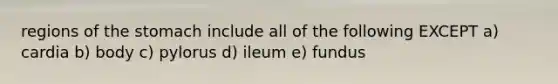 regions of <a href='https://www.questionai.com/knowledge/kLccSGjkt8-the-stomach' class='anchor-knowledge'>the stomach</a> include all of the following EXCEPT a) cardia b) body c) pylorus d) ileum e) fundus