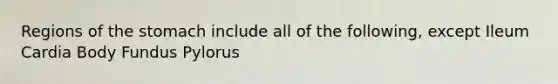 Regions of the stomach include all of the following, except Ileum Cardia Body Fundus Pylorus