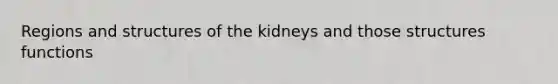 Regions and structures of the kidneys and those structures functions