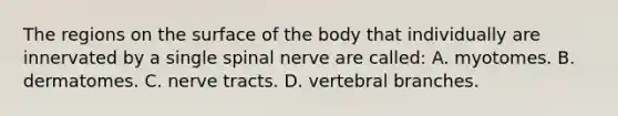 The regions on the surface of the body that individually are innervated by a single spinal nerve are​ called: A. myotomes. B. dermatomes. C. nerve tracts. D. vertebral branches.