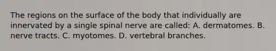 The regions on the surface of the body that individually are innervated by a single spinal nerve are​ called: A. dermatomes. B. nerve tracts. C. myotomes. D. vertebral branches.