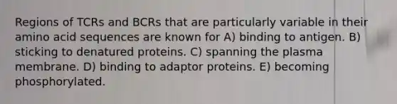 Regions of TCRs and BCRs that are particularly variable in their amino acid sequences are known for A) binding to antigen. B) sticking to denatured proteins. C) spanning the plasma membrane. D) binding to adaptor proteins. E) becoming phosphorylated.