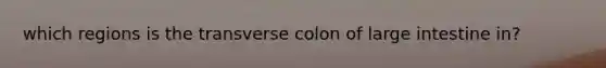 which regions is the transverse colon of <a href='https://www.questionai.com/knowledge/kGQjby07OK-large-intestine' class='anchor-knowledge'>large intestine</a> in?