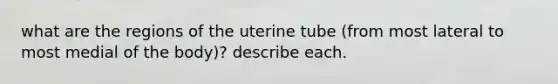 what are the regions of the uterine tube (from most lateral to most medial of the body)? describe each.