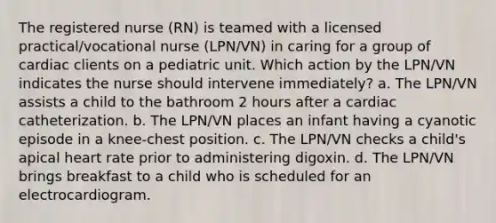 The registered nurse (RN) is teamed with a licensed practical/vocational nurse (LPN/VN) in caring for a group of cardiac clients on a pediatric unit. Which action by the LPN/VN indicates the nurse should intervene immediately? a. The LPN/VN assists a child to the bathroom 2 hours after a cardiac catheterization. b. The LPN/VN places an infant having a cyanotic episode in a knee-chest position. c. The LPN/VN checks a child's apical heart rate prior to administering digoxin. d. The LPN/VN brings breakfast to a child who is scheduled for an electrocardiogram.