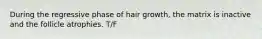 During the regressive phase of hair growth, the matrix is inactive and the follicle atrophies. T/F