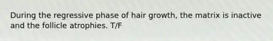 During the regressive phase of hair growth, the matrix is inactive and the follicle atrophies. T/F