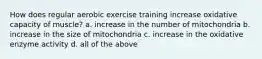 How does regular aerobic exercise training increase oxidative capacity of muscle? a. increase in the number of mitochondria b. increase in the size of mitochondria c. increase in the oxidative enzyme activity d. all of the above