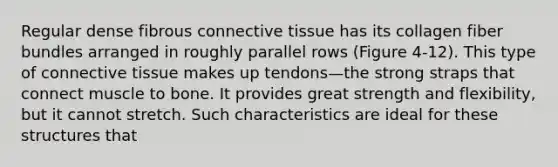 Regular dense fibrous connective tissue has its collagen fiber bundles arranged in roughly parallel rows (Figure 4-12). This type of connective tissue makes up tendons—the strong straps that connect muscle to bone. It provides great strength and flexibility, but it cannot stretch. Such characteristics are ideal for these structures that