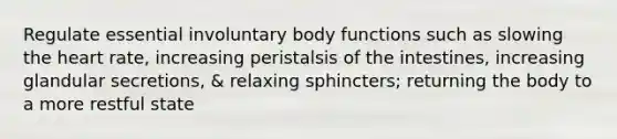 Regulate essential involuntary body functions such as slowing the heart rate, increasing peristalsis of the intestines, increasing glandular secretions, & relaxing sphincters; returning the body to a more restful state