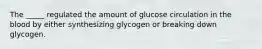 The _____ regulated the amount of glucose circulation in the blood by either synthesizing glycogen or breaking down glycogen.