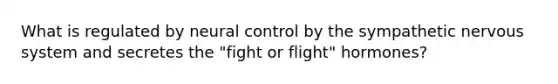 What is regulated by neural control by the sympathetic nervous system and secretes the "fight or flight" hormones?