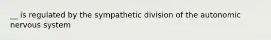 __ is regulated by the sympathetic division of the autonomic nervous system