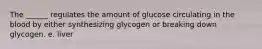 The ______ regulates the amount of glucose circulating in the blood by either synthesizing glycogen or breaking down glycogen. e. liver