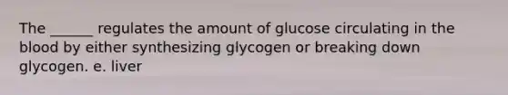 The ______ regulates the amount of glucose circulating in the blood by either synthesizing glycogen or breaking down glycogen. e. liver