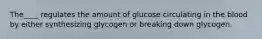 The____ regulates the amount of glucose circulating in the blood by either synthesizing glycogen or breaking down glycogen.