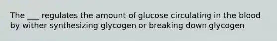 The ___ regulates the amount of glucose circulating in the blood by wither synthesizing glycogen or breaking down glycogen