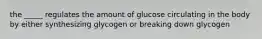 the _____ regulates the amount of glucose circulating in the body by either synthesizing glycogen or breaking down glycogen