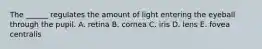 The ______ regulates the amount of light entering the eyeball through the pupil. A. retina B. cornea C. iris D. lens E. fovea centralis