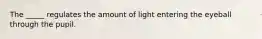 The _____ regulates the amount of light entering the eyeball through the pupil.