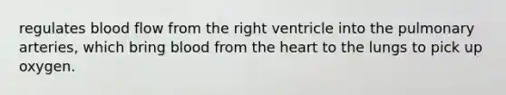 regulates blood flow from the right ventricle into the pulmonary arteries, which bring blood from the heart to the lungs to pick up oxygen.