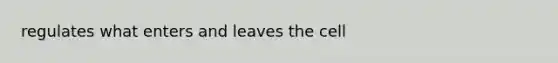 regulates what enters and leaves the cell