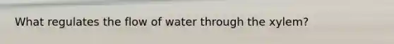 What regulates the flow of water through the xylem?