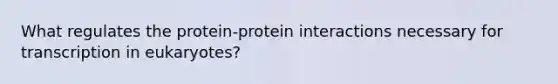 What regulates the protein-protein interactions necessary for transcription in eukaryotes?