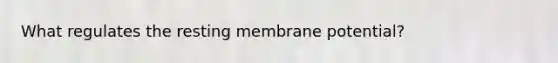 What regulates the resting membrane potential?