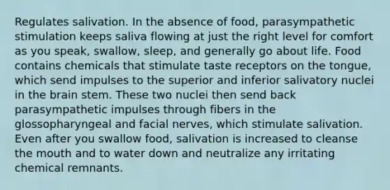 Regulates salivation. In the absence of food, parasympathetic stimulation keeps saliva flowing at just the right level for comfort as you speak, swallow, sleep, and generally go about life. Food contains chemicals that stimulate taste receptors on the tongue, which send impulses to the superior and inferior salivatory nuclei in the brain stem. These two nuclei then send back parasympathetic impulses through fibers in the glossopharyngeal and facial nerves, which stimulate salivation. Even after you swallow food, salivation is increased to cleanse the mouth and to water down and neutralize any irritating chemical remnants.