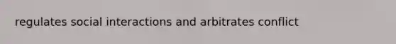 regulates social interactions and arbitrates conflict