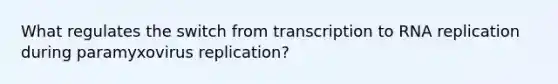 What regulates the switch from transcription to RNA replication during paramyxovirus replication?