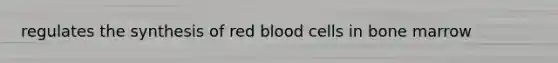 regulates the synthesis of red blood cells in bone marrow