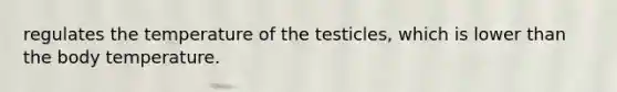 regulates the temperature of the testicles, which is lower than the body temperature.