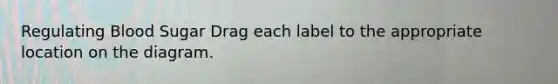 Regulating Blood Sugar Drag each label to the appropriate location on the diagram.