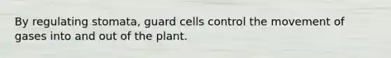 By regulating stomata, guard cells control the movement of gases into and out of the plant.