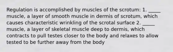 Regulation is accomplished by muscles of the scrotum: 1. _____ muscle, a layer of smooth muscle in dermis of scrotum, which causes characteristic wrinkling of the scrotal surface 2. _____ muscle, a layer of skeletal muscle deep to dermis, which contracts to pull testes closer to the body and relaxes to allow tested to be further away from the body