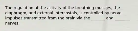 The regulation of the activity of the breathing muscles, the diaphragm, and external intercostals, is controlled by nerve impulses transmitted from <a href='https://www.questionai.com/knowledge/kLMtJeqKp6-the-brain' class='anchor-knowledge'>the brain</a> via the _______ and ________ nerves.