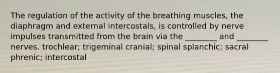 The regulation of the activity of the breathing muscles, the diaphragm and external intercostals, is controlled by nerve impulses transmitted from <a href='https://www.questionai.com/knowledge/kLMtJeqKp6-the-brain' class='anchor-knowledge'>the brain</a> via the ________ and ________ nerves. trochlear; trigeminal cranial; spinal splanchic; sacral phrenic; intercostal