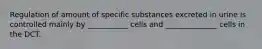 Regulation of amount of specific substances excreted in urine is controlled mainly by ___________ cells and ______________ cells in the DCT.