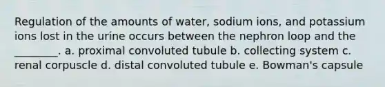 Regulation of the amounts of water, sodium ions, and potassium ions lost in the urine occurs between the nephron loop and the ________. a. proximal convoluted tubule b. collecting system c. renal corpuscle d. distal convoluted tubule e. Bowman's capsule