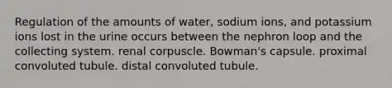 Regulation of the amounts of water, sodium ions, and potassium ions lost in the urine occurs between the nephron loop and the collecting system. renal corpuscle. Bowman's capsule. proximal convoluted tubule. distal convoluted tubule.