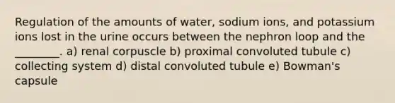 Regulation of the amounts of water, sodium ions, and potassium ions lost in the urine occurs between the nephron loop and the ________. a) renal corpuscle b) proximal convoluted tubule c) collecting system d) distal convoluted tubule e) Bowman's capsule