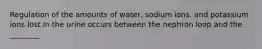 Regulation of the amounts of water, sodium ions, and potassium ions lost in the urine occurs between the nephron loop and the ________