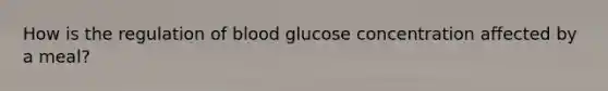 How is the regulation of blood glucose concentration affected by a meal?